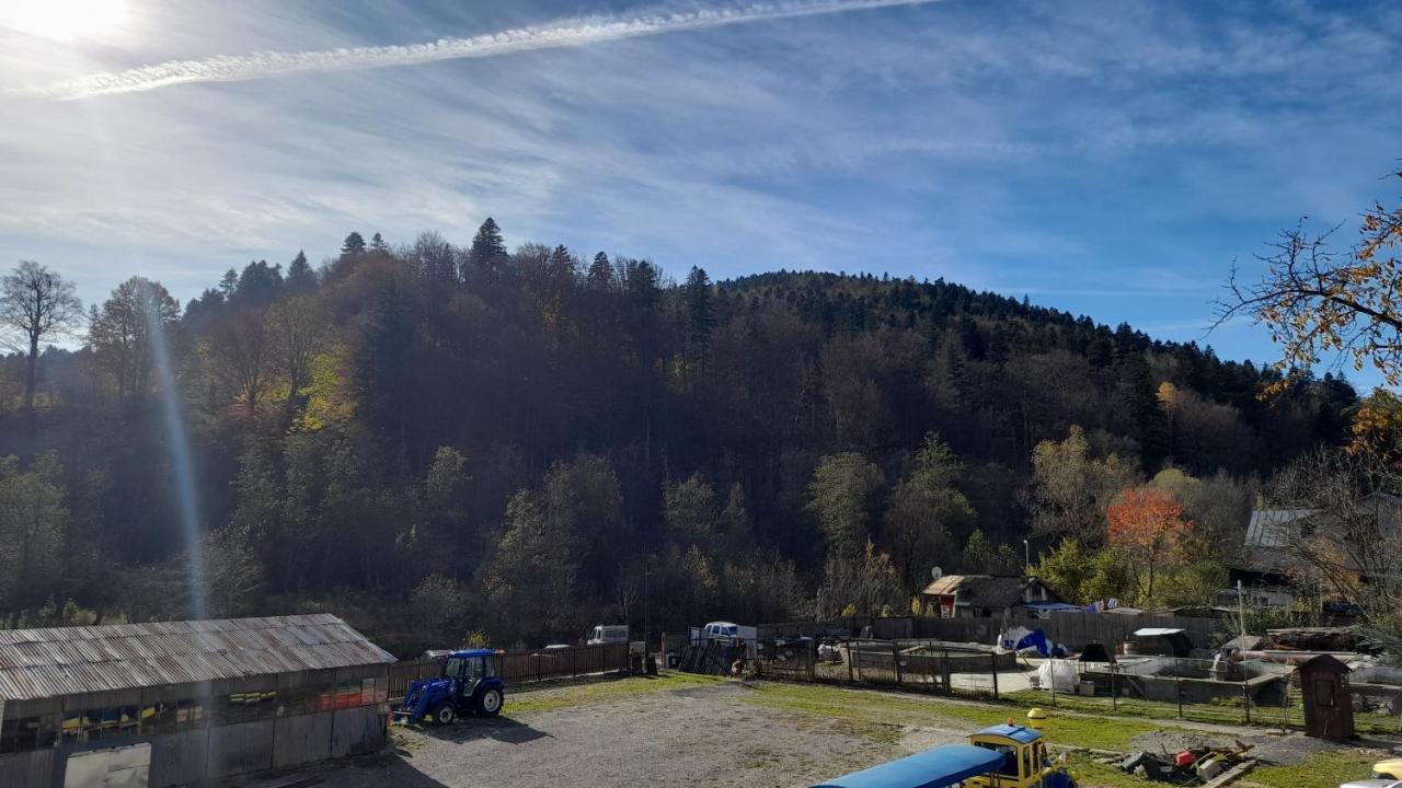 Pensiunea Lucy * Sinaia
