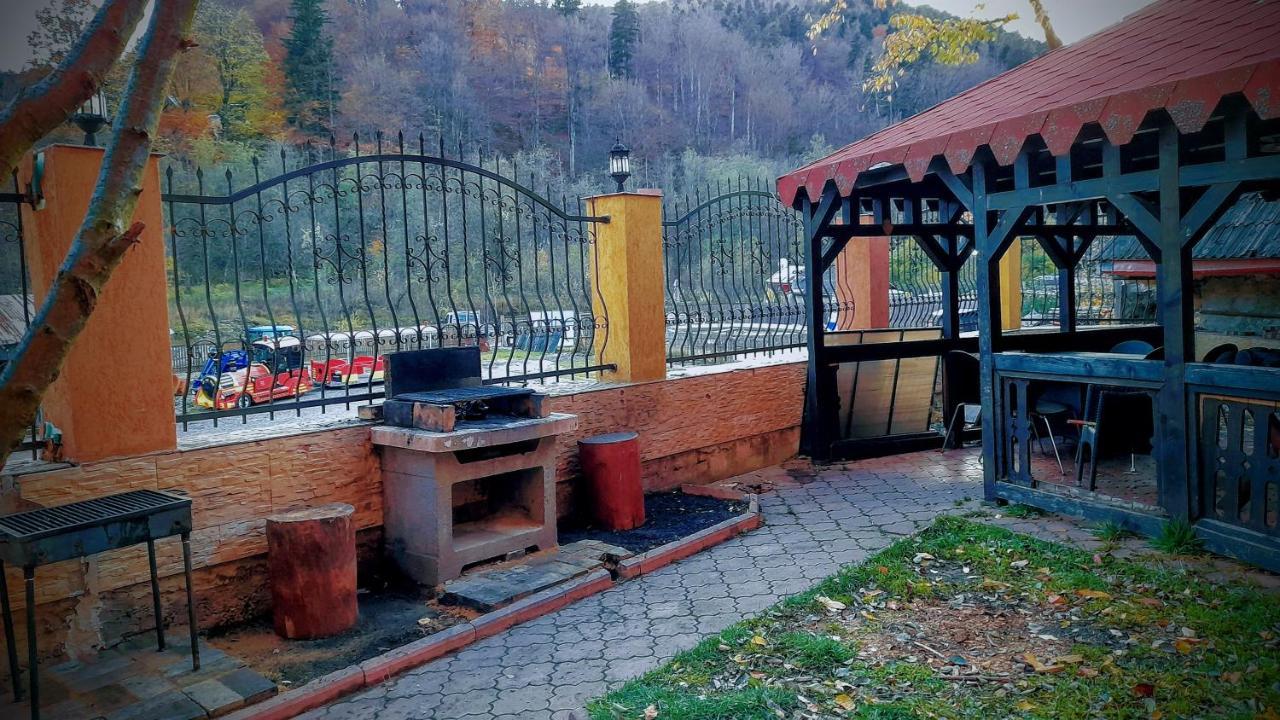 Guest house Pensiunea Lucy *
