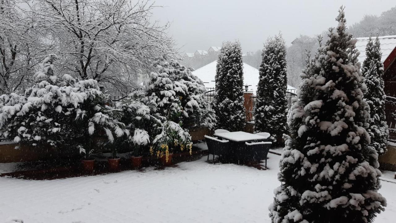 Pensiunea Lucy Guest house Sinaia
