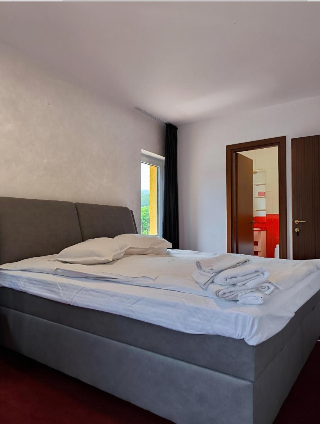 Guest house Pensiunea Lucy